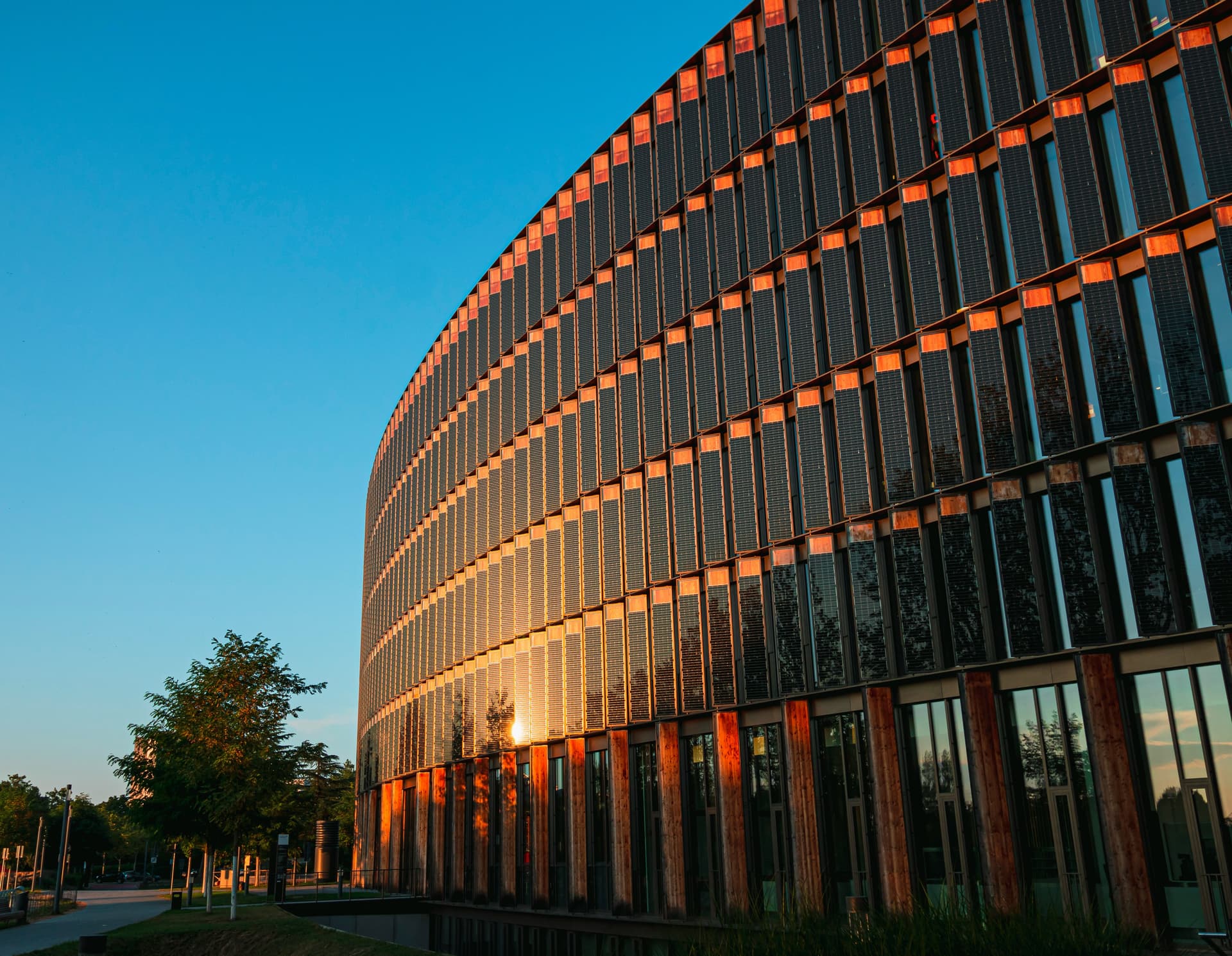 Skills Technical Services team working on solar panels